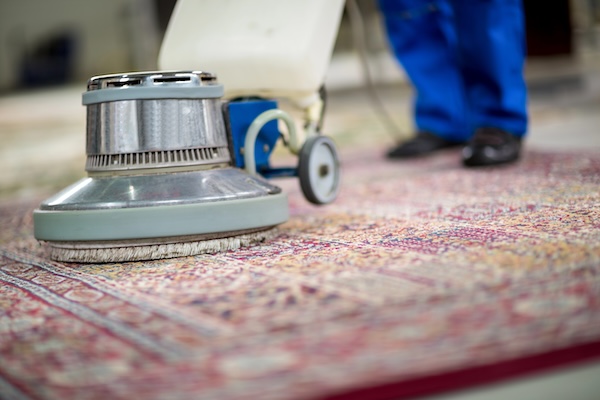 Carpet cleaning equipment on rug
