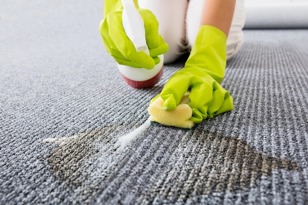 Spot treating a carpet to remove stains
