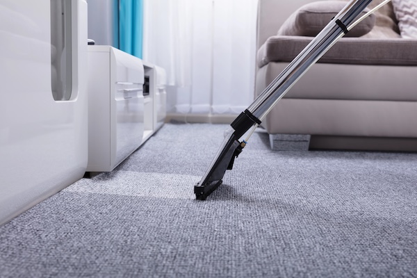 Professional carpet cleaning with steam cleaner