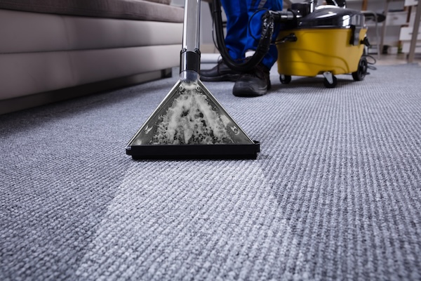 Rug being professionally cleaned showing a distinct line where the rug is clean versus dirty