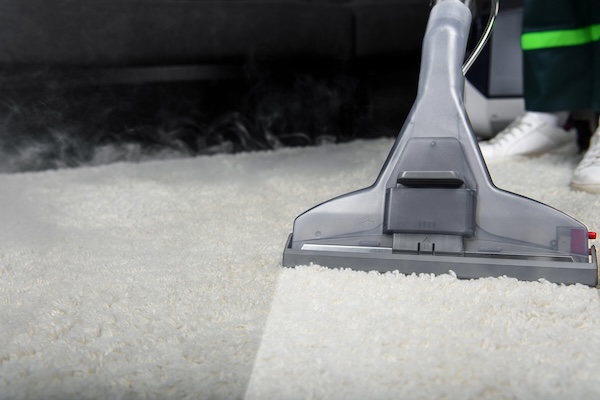 Professional steam cleaning of carpet