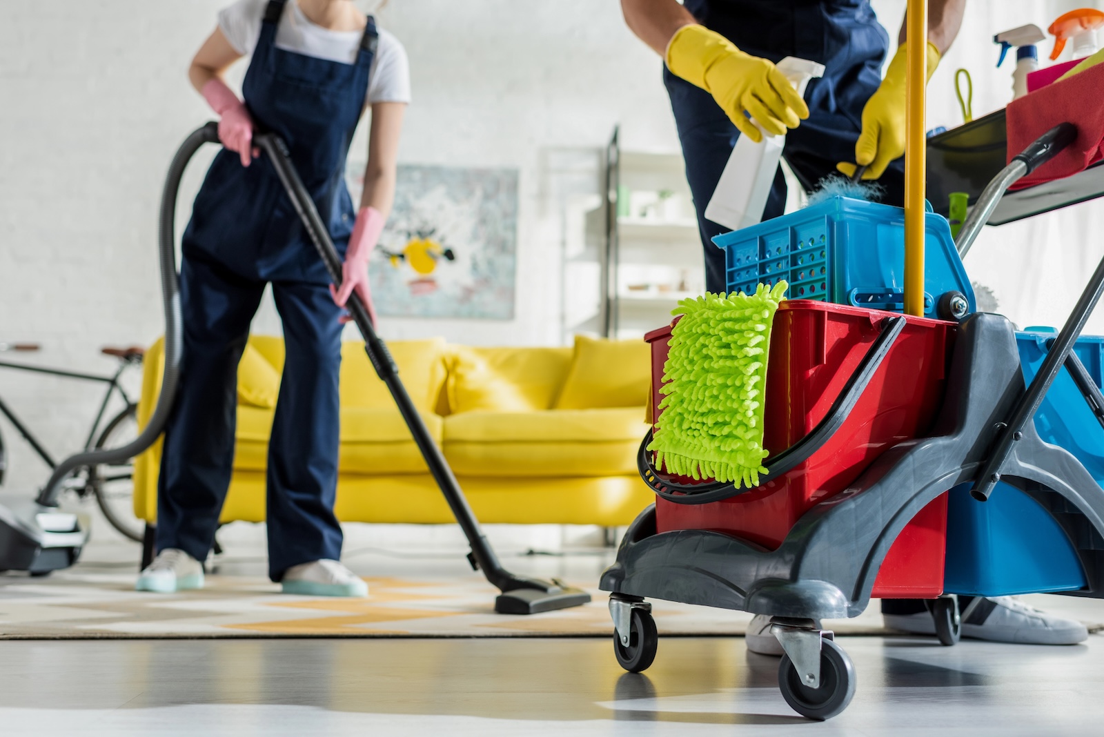 Rug being cleaned by professionals with steam cleaner