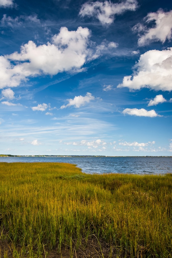 Grassy beach with water