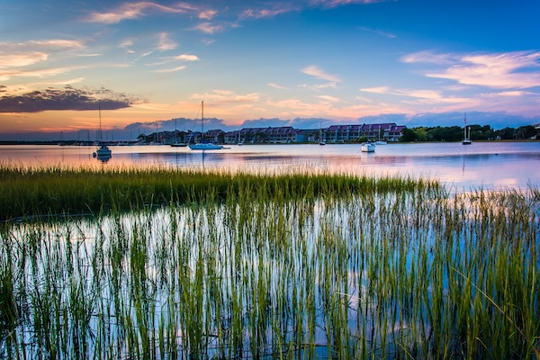 Waterway with grass and reeds growing in the water