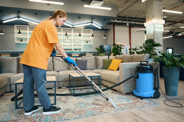 Professional carpet cleaning with steam cleaner