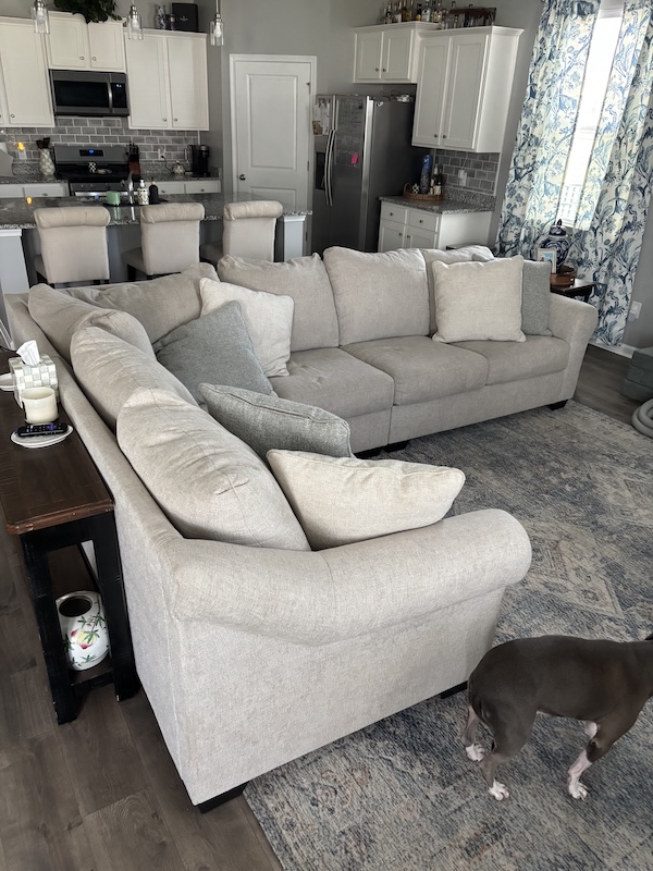 Upholstery cleaning services for home.